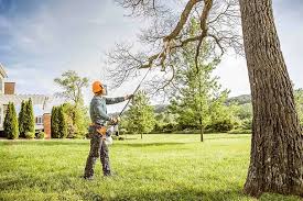 Professional Tree Services in Loudoun Valley Estates, VA