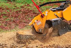 Best Leaf Removal  in Loudoun Lley Estates, VA